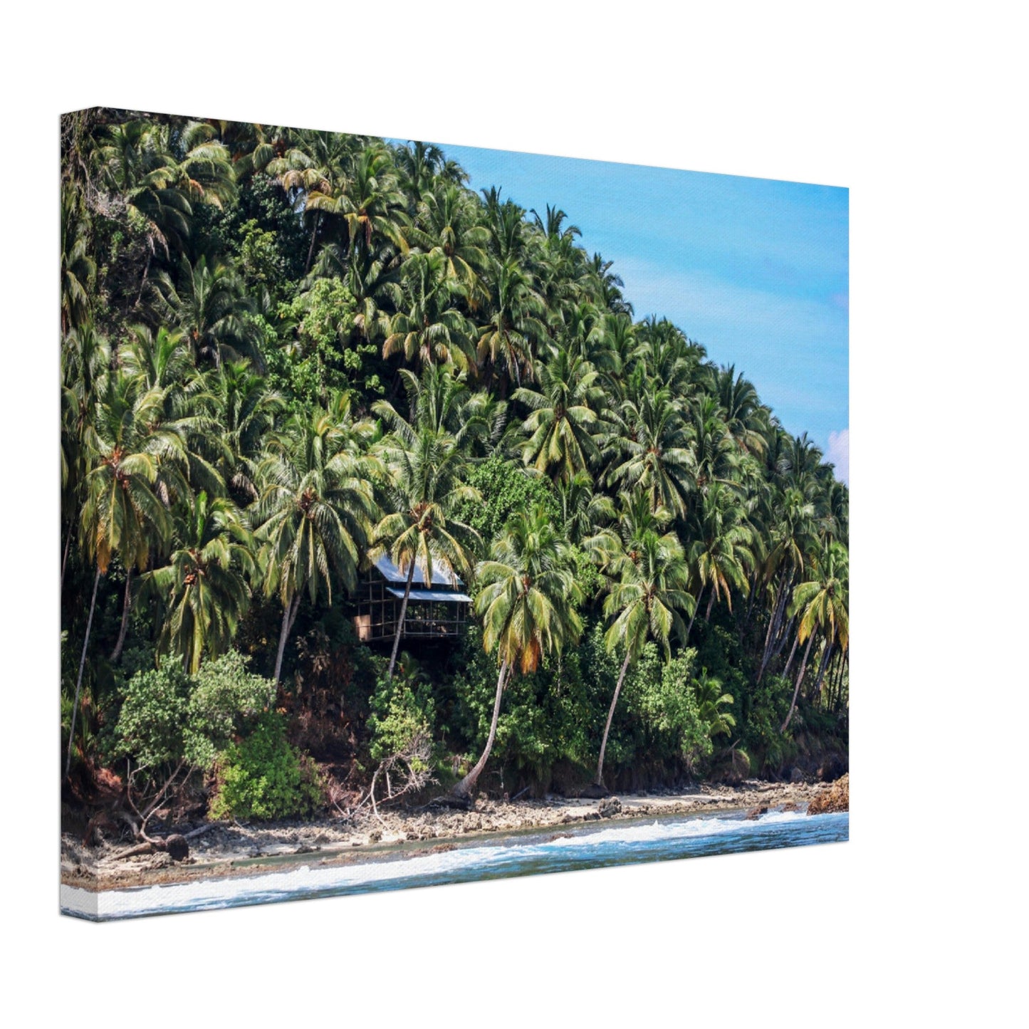 Thin Canvas - Coconut Shoreline - Mentawai - INDONESIA - Green Forest Home