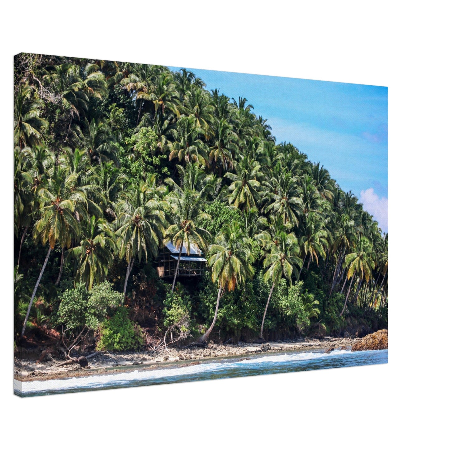 Thin Canvas - Coconut Shoreline - Mentawai - INDONESIA - Green Forest Home