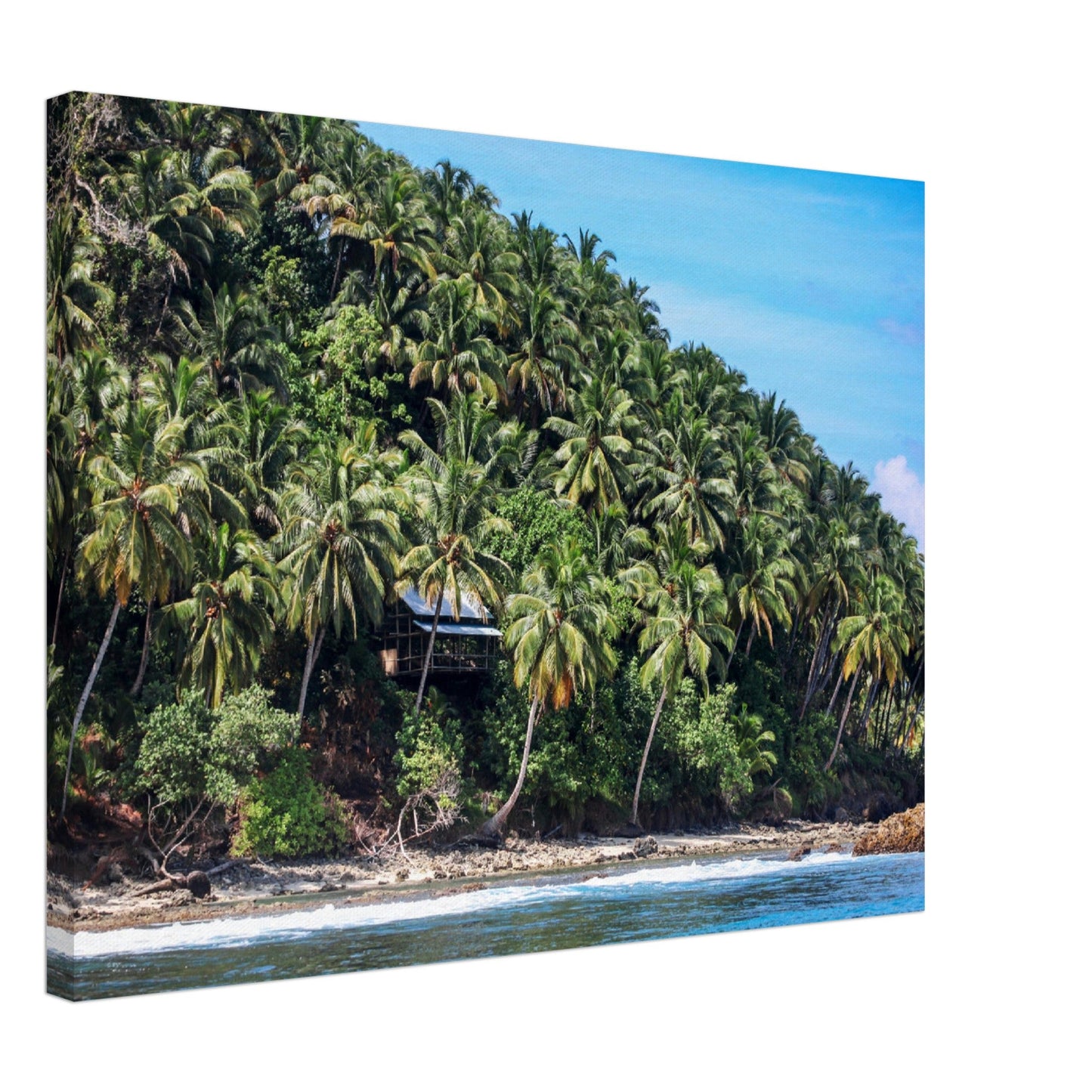 Thin Canvas - Coconut Shoreline - Mentawai - INDONESIA - Green Forest Home