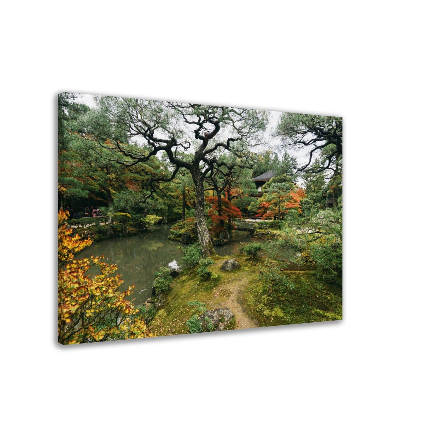 Thin Canvas - Ginkakuji Temple and Garden Tokyo JAPAN - Green Forest Home