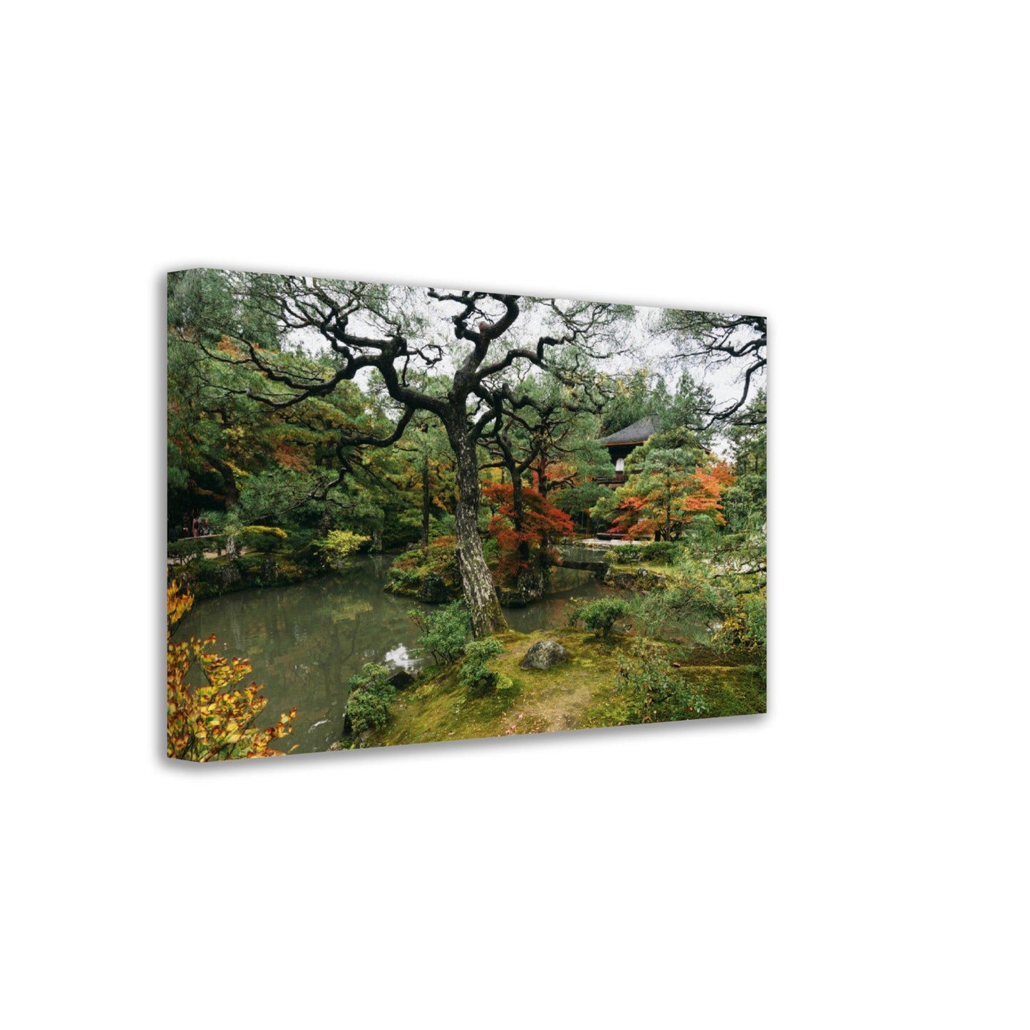 Thin Canvas - Ginkakuji Temple and Garden Tokyo JAPAN - Green Forest Home