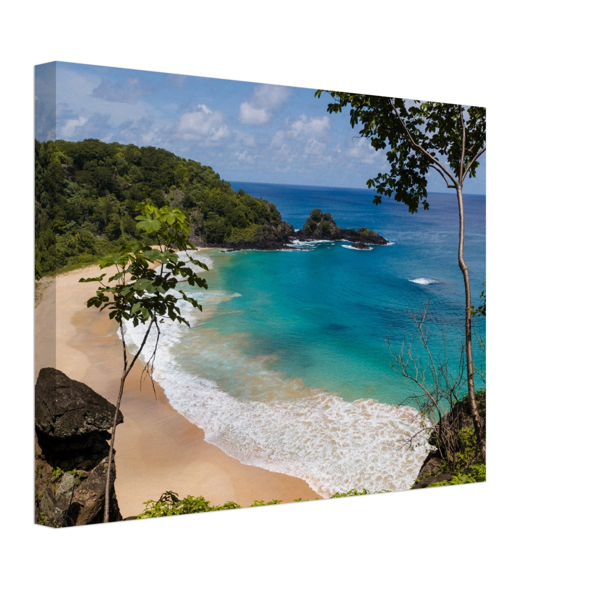 Thin Canvas - Panorama of Sancho beach in Fernando de Noronha, state of Pernambuco, - BRAZIL - Green Forest Home