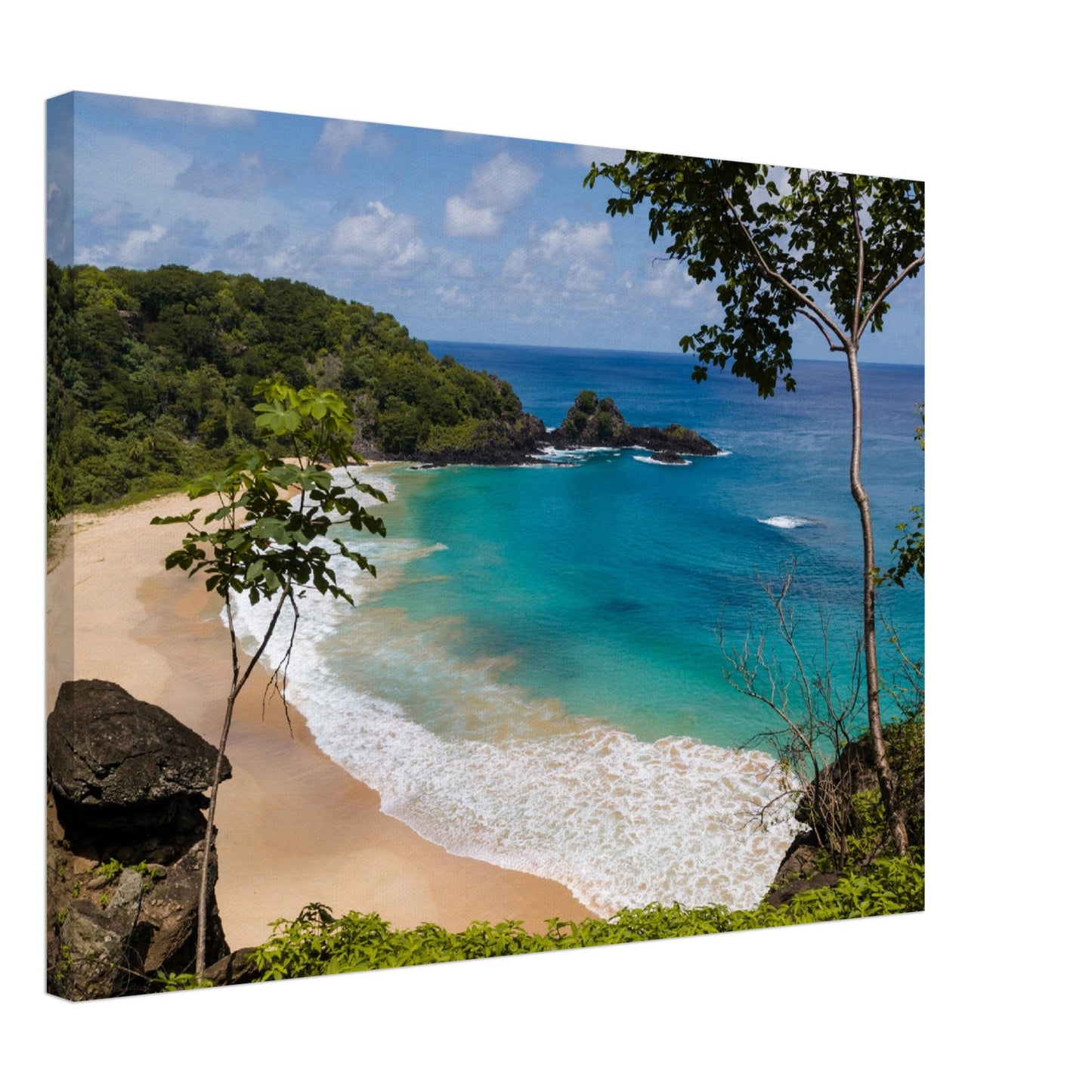 Thin Canvas - Panorama of Sancho beach in Fernando de Noronha, state of Pernambuco, - BRAZIL - Green Forest Home