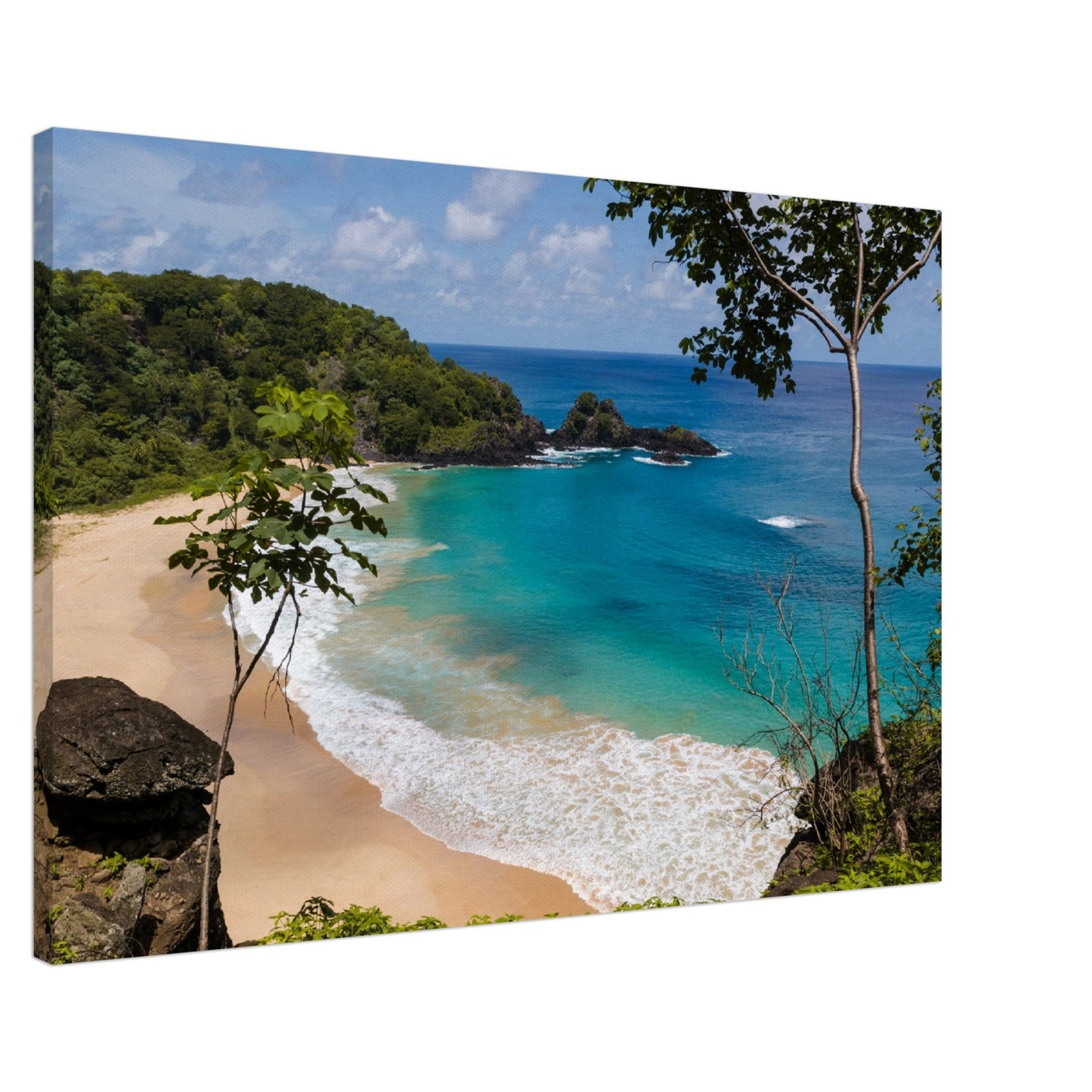 Thin Canvas - Panorama of Sancho beach in Fernando de Noronha, state of Pernambuco, - BRAZIL - Green Forest Home