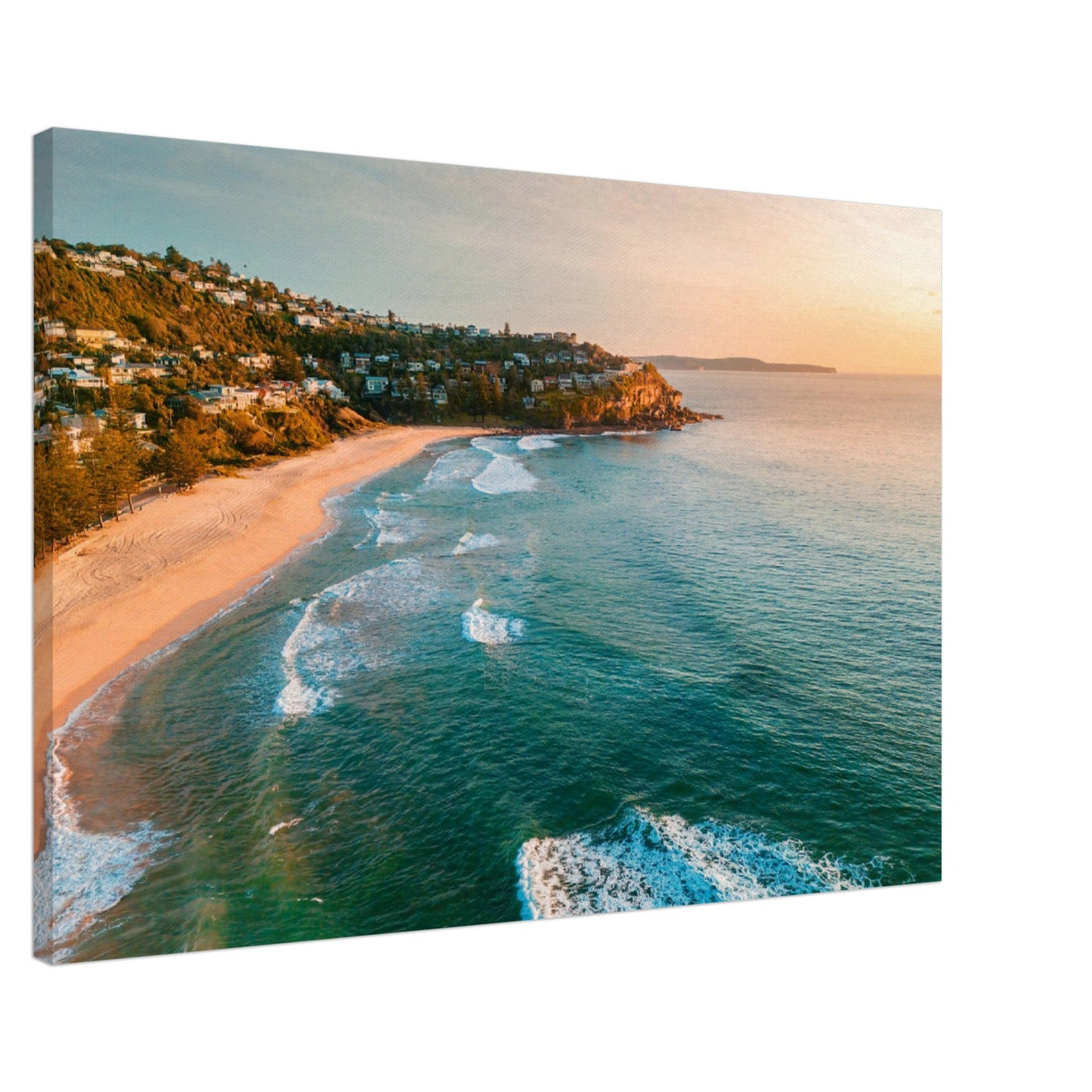 Thin Canvas - Sunrise sky morning aerial views of Whale Beach Northern beaches AUTRALIA - Green Forest Home