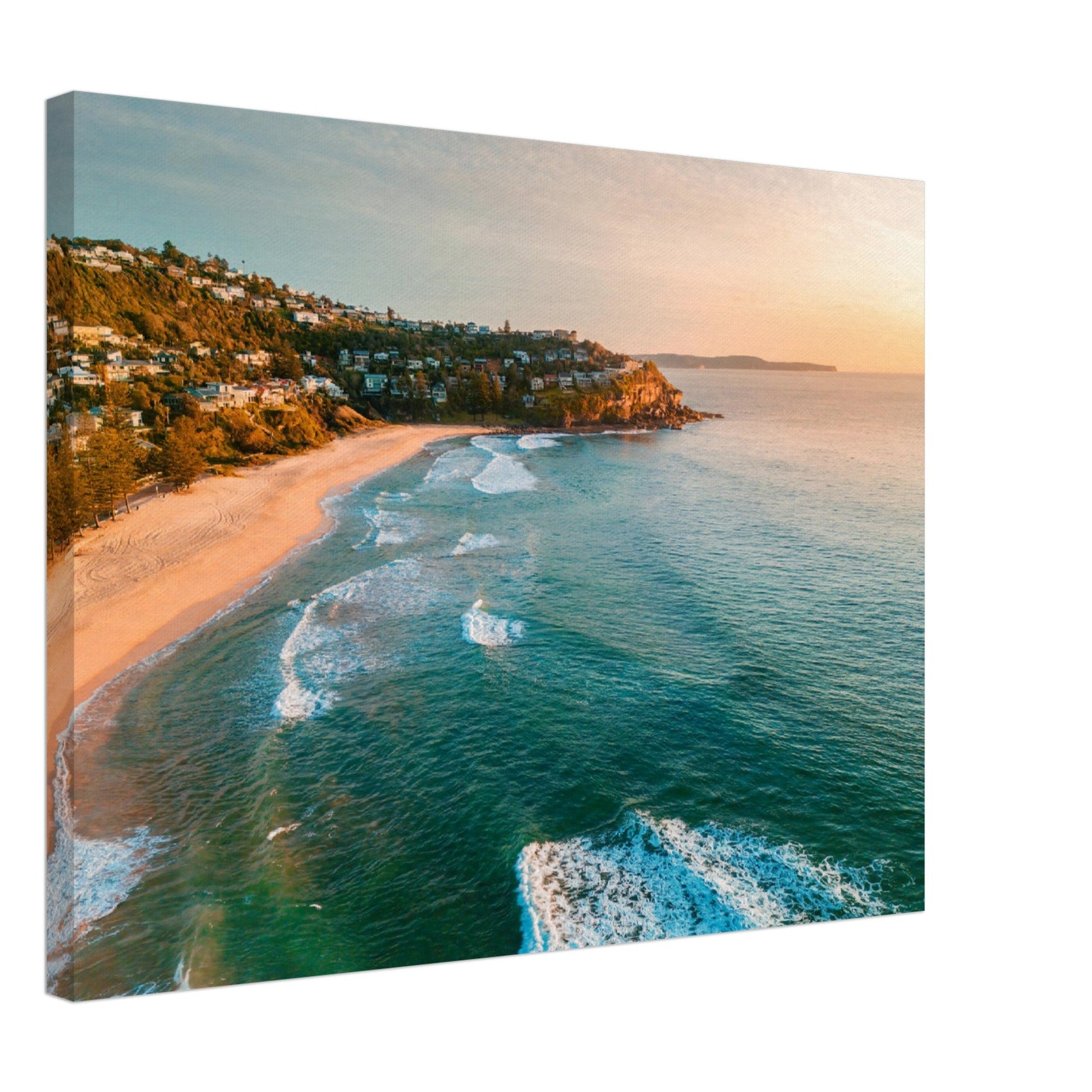 Thin Canvas - Sunrise sky morning aerial views of Whale Beach Northern beaches AUTRALIA - Green Forest Home