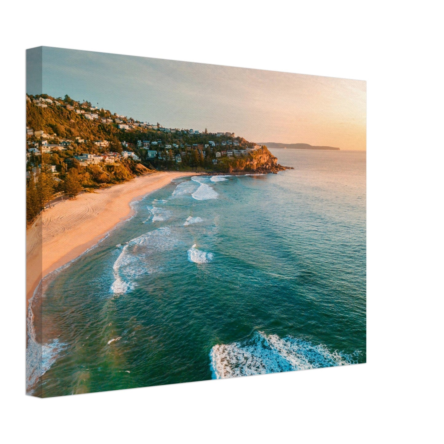 Thin Canvas - Sunrise sky morning aerial views of Whale Beach Northern beaches AUTRALIA - Green Forest Home