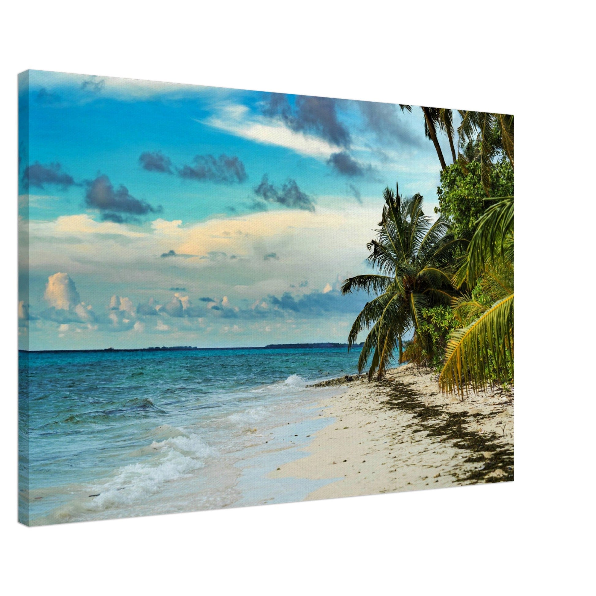 Thin Canvas - The Atlantic Ocean, the beaches of Punta Cana. Caribbean turquoise sea water - DOMINICAN REPUBLIC - Green Forest Home