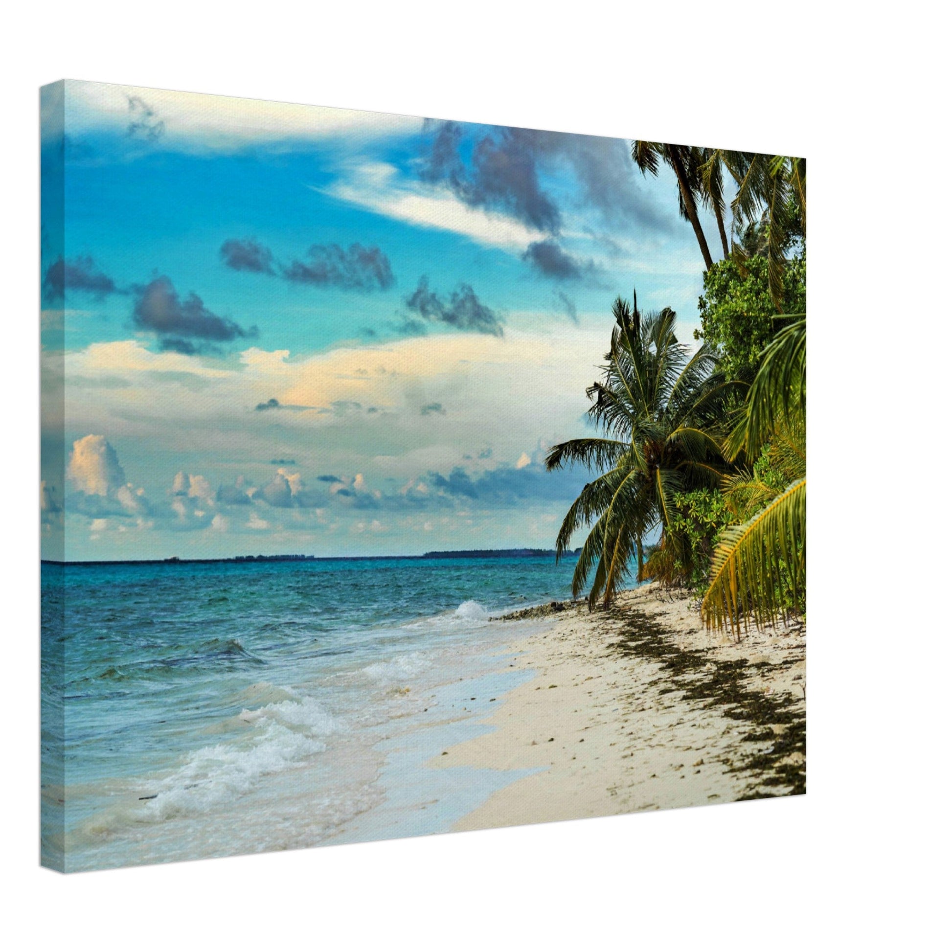 Thin Canvas - The Atlantic Ocean, the beaches of Punta Cana. Caribbean turquoise sea water - DOMINICAN REPUBLIC - Green Forest Home