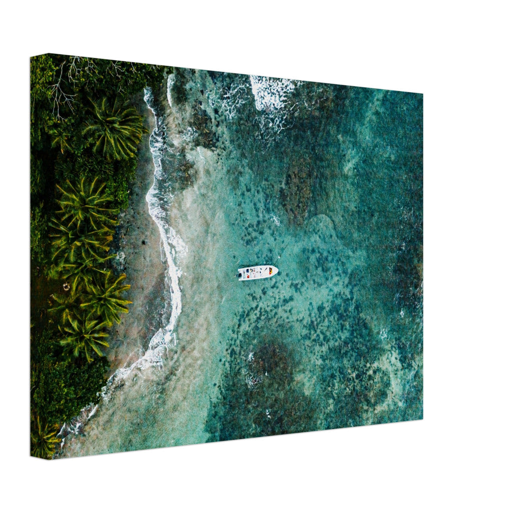 Thin Canvas - Top view shot of a beautiful island - COSTA RICA - Green Forest Home