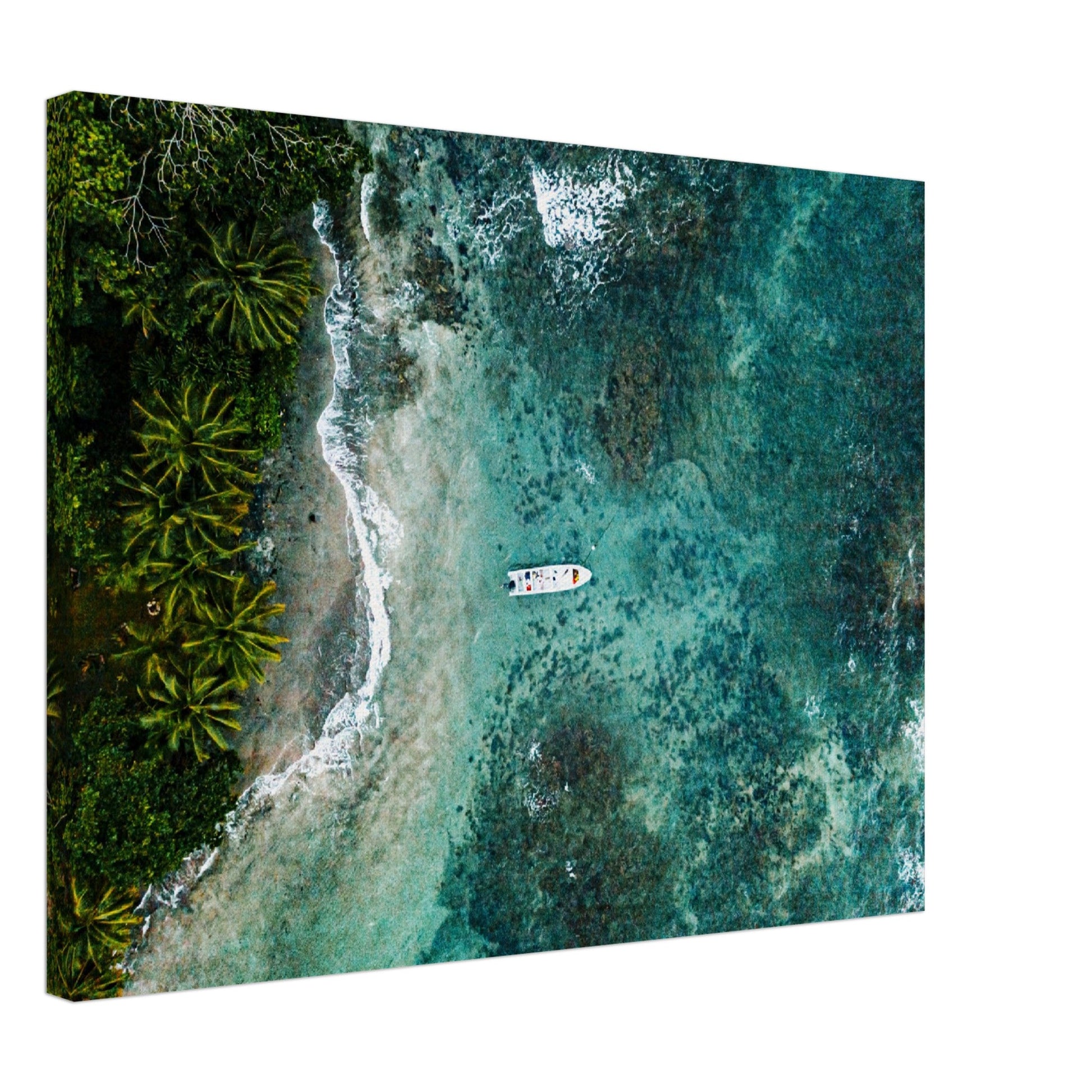 Thin Canvas - Top view shot of a beautiful island - COSTA RICA - Green Forest Home