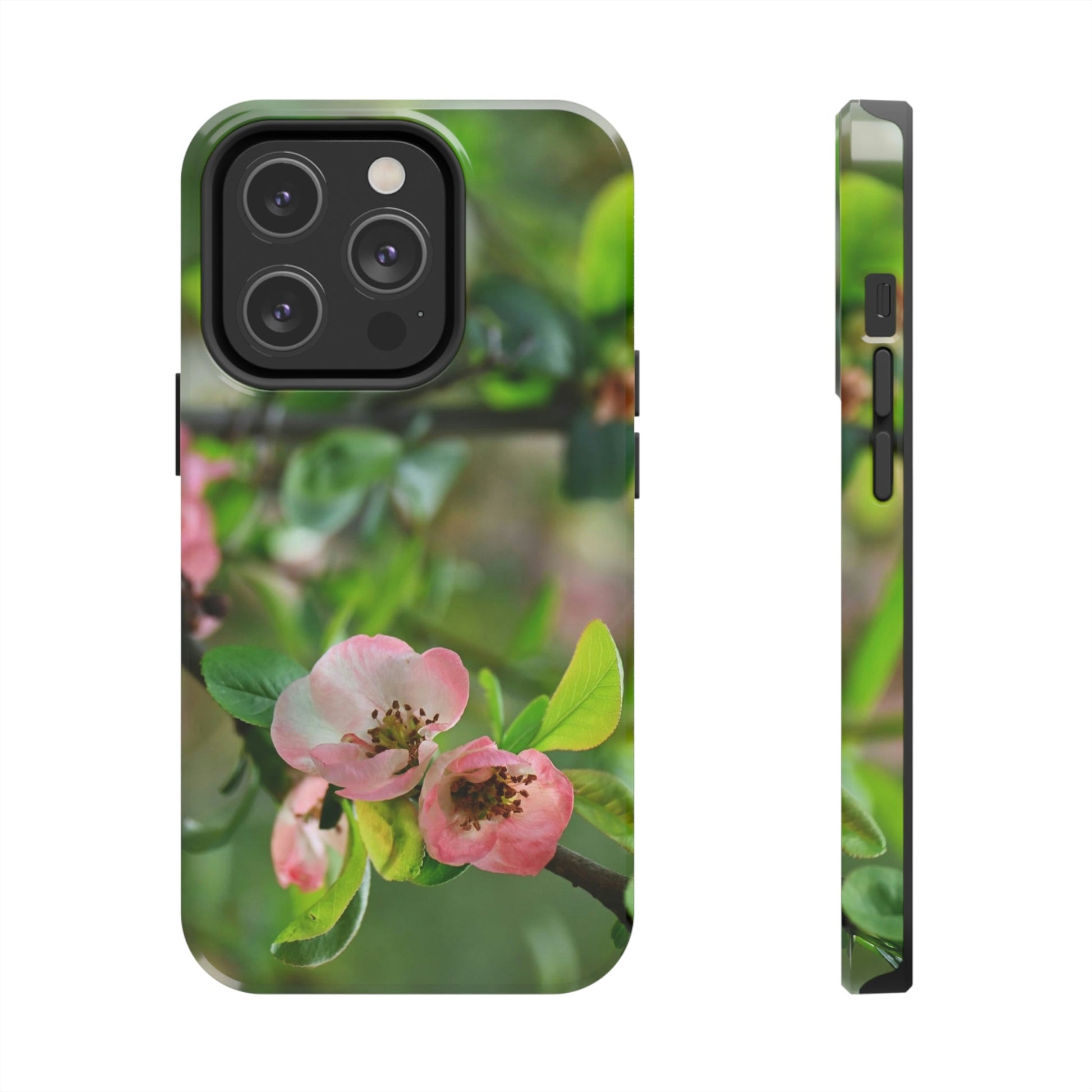 Tough Phone Cases, Case-Mate - Flowering quince ( Chaenomeles speciosa ) flowers. Rosaceae - JAPAN - Made in USA - Green Forest Home