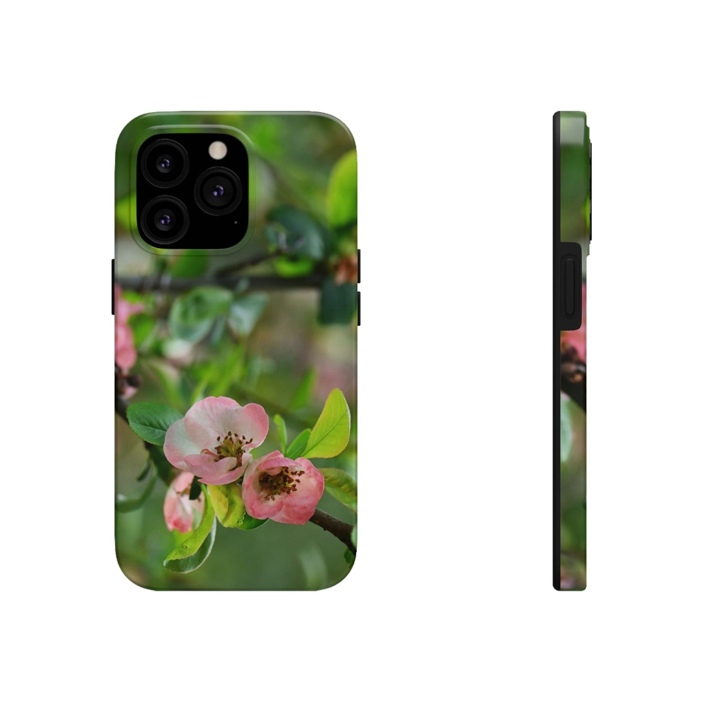 Tough Phone Cases, Case-Mate - Flowering quince ( Chaenomeles speciosa ) flowers. Rosaceae - JAPAN - Made in USA - Green Forest Home