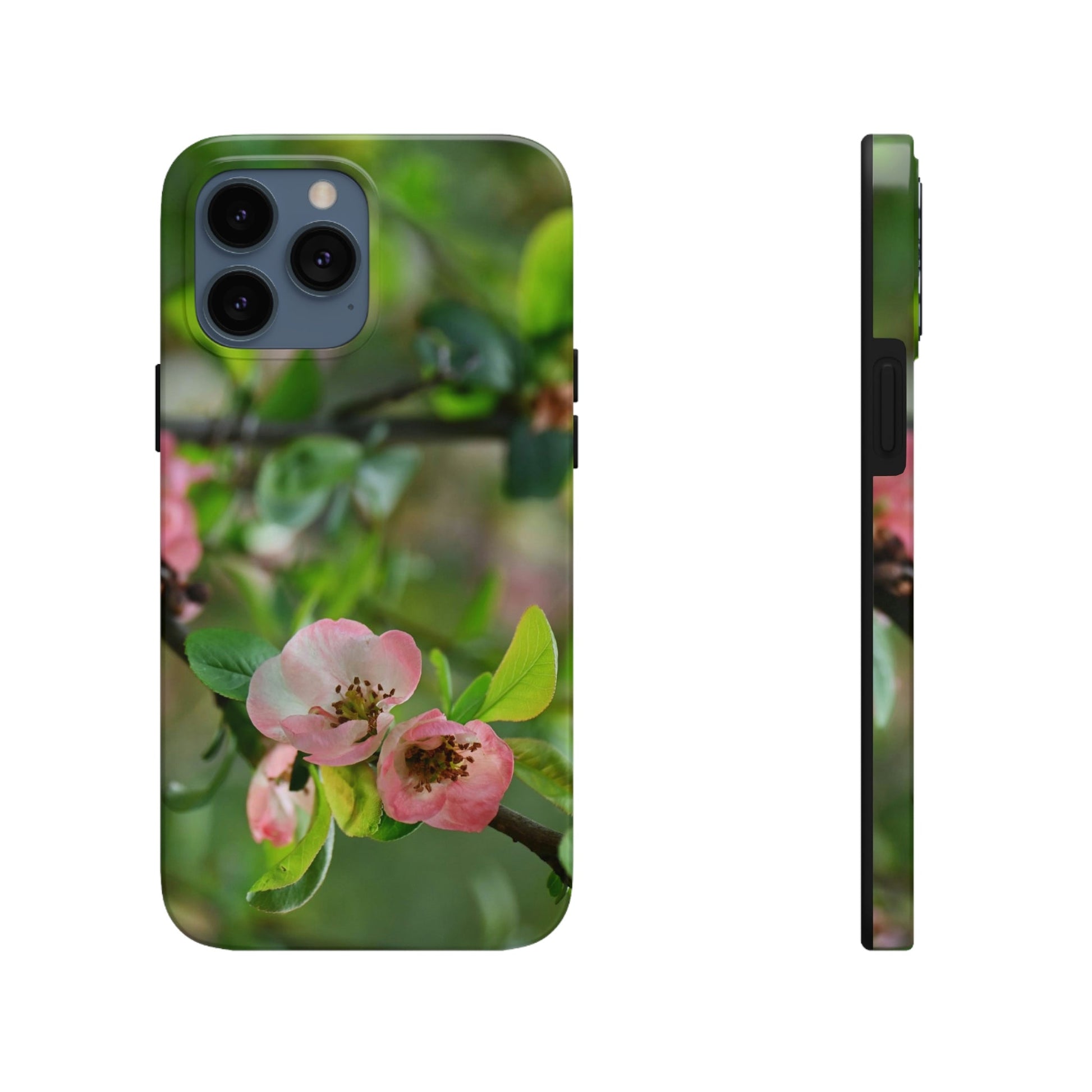 Tough Phone Cases, Case-Mate - Flowering quince ( Chaenomeles speciosa ) flowers. Rosaceae - JAPAN - Made in USA - Green Forest Home