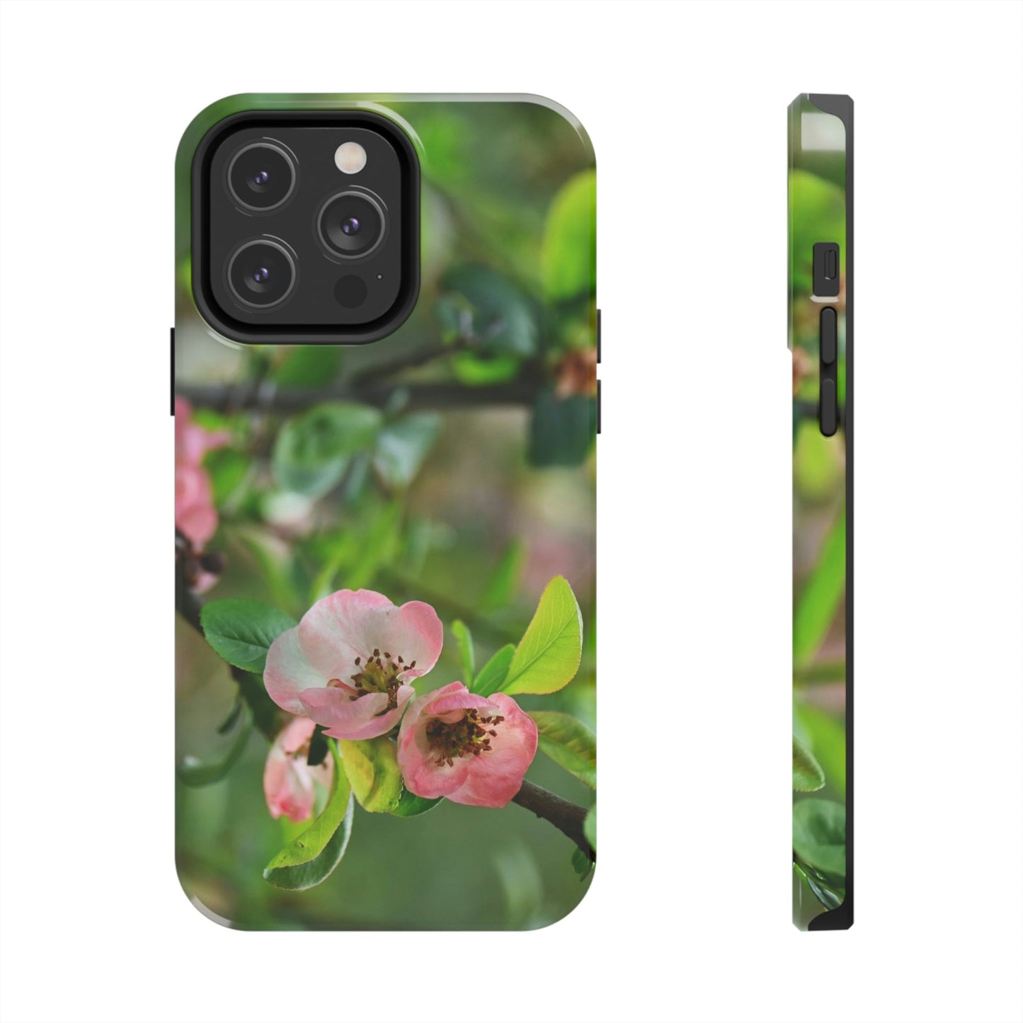 Tough Phone Cases, Case-Mate - Flowering quince ( Chaenomeles speciosa ) flowers. Rosaceae - JAPAN - Made in USA - Green Forest Home