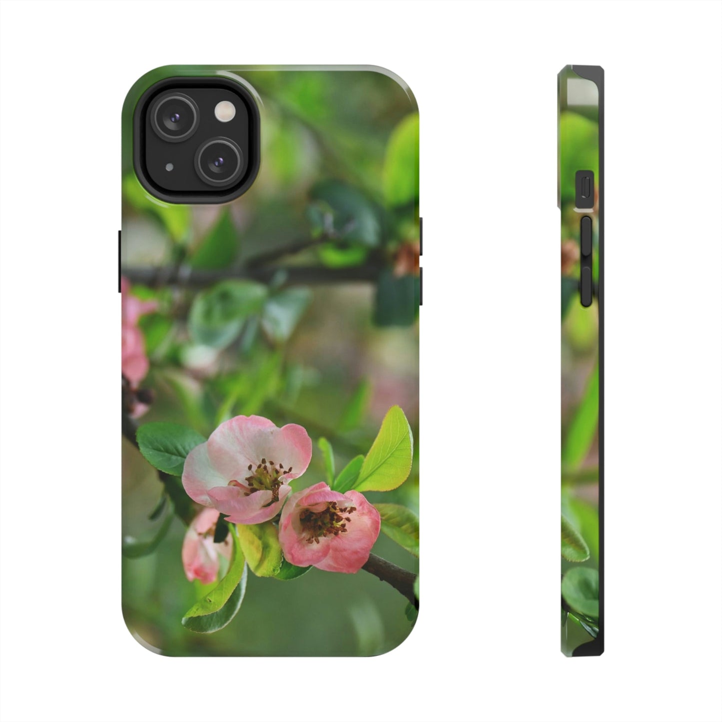 Tough Phone Cases, Case-Mate - Flowering quince ( Chaenomeles speciosa ) flowers. Rosaceae - JAPAN - Made in USA - Green Forest Home