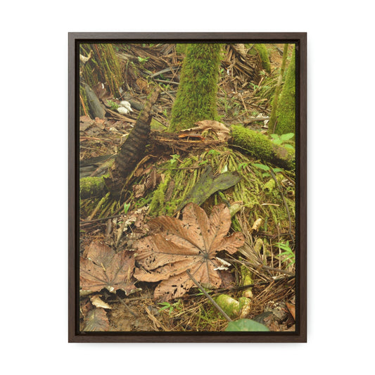 Vertical Framed Premium Gallery Wrap Canvas - The Sierra Palm forest - Death of a Palm tree - in El Yunque rainforest PR - Green Forest Home