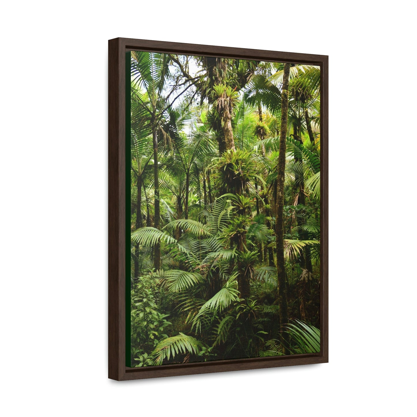 Vertical Framed Premium Gallery Wrap Canvas - The thick Sierra Palm and bromeliads forest in El Yunque rainforest PR - Green Forest Home