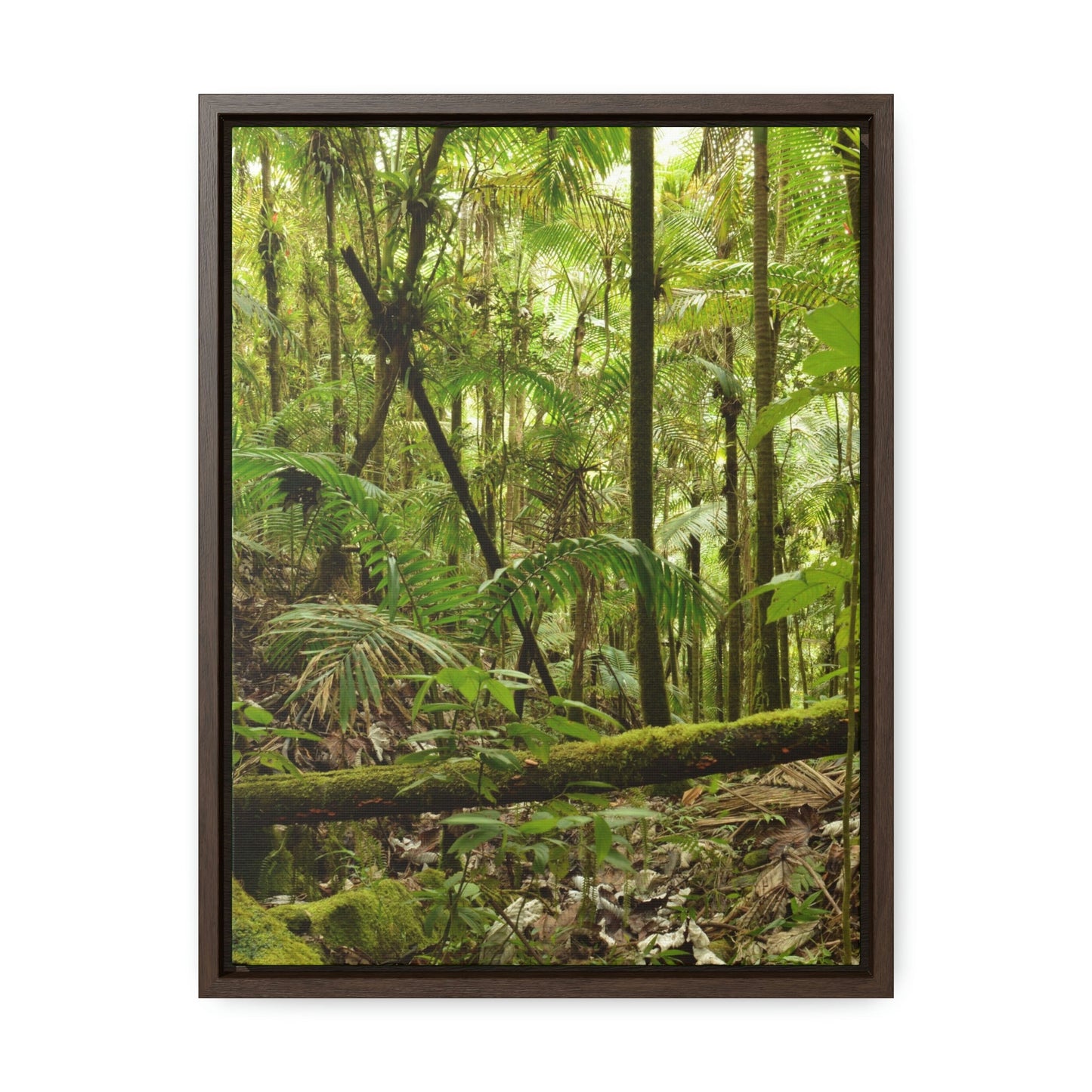 Vertical Framed Premium Gallery Wrap Canvas - The thick Sierra Palm and bromeliads forest in El Yunque rainforest PR - Green Forest Home