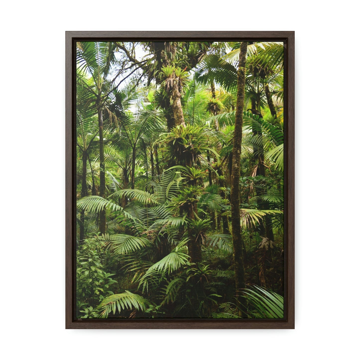 Vertical Framed Premium Gallery Wrap Canvas - The thick Sierra Palm and bromeliads forest in El Yunque rainforest PR - Green Forest Home