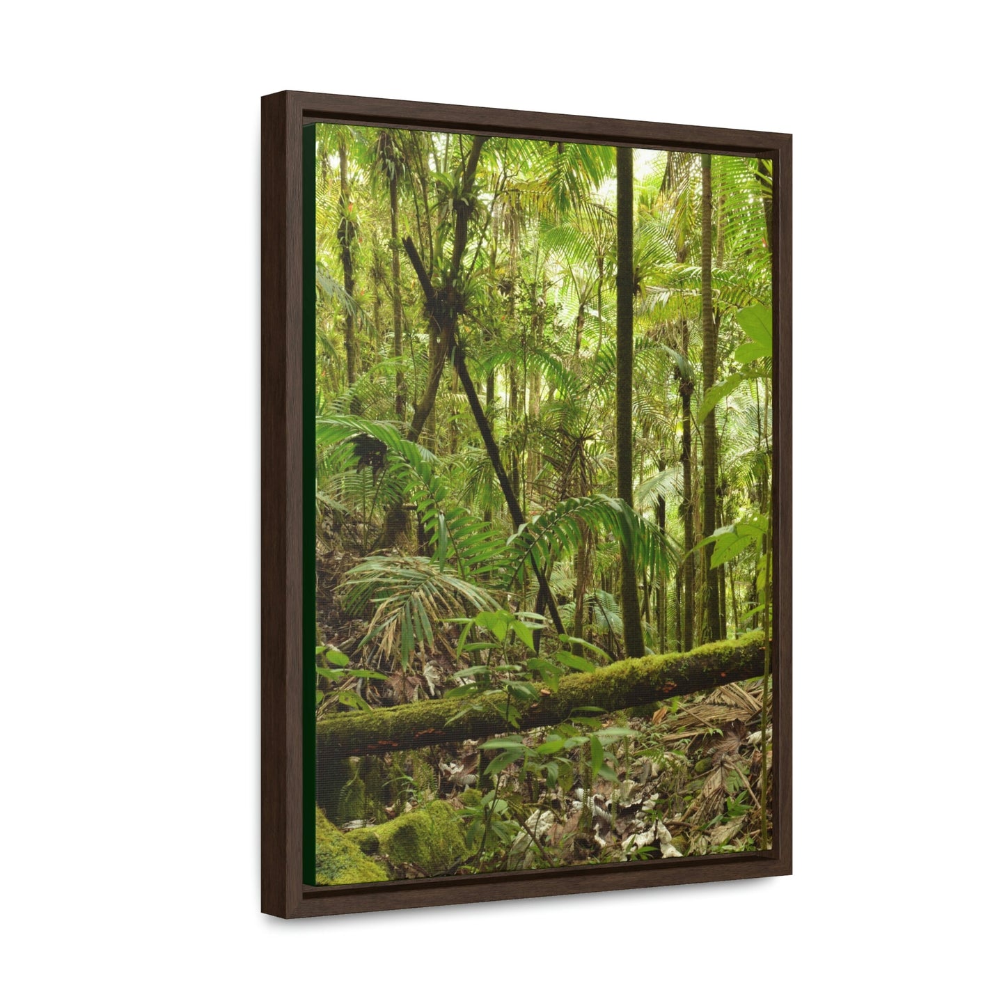 Vertical Framed Premium Gallery Wrap Canvas - The thick Sierra Palm and bromeliads forest in El Yunque rainforest PR - Green Forest Home