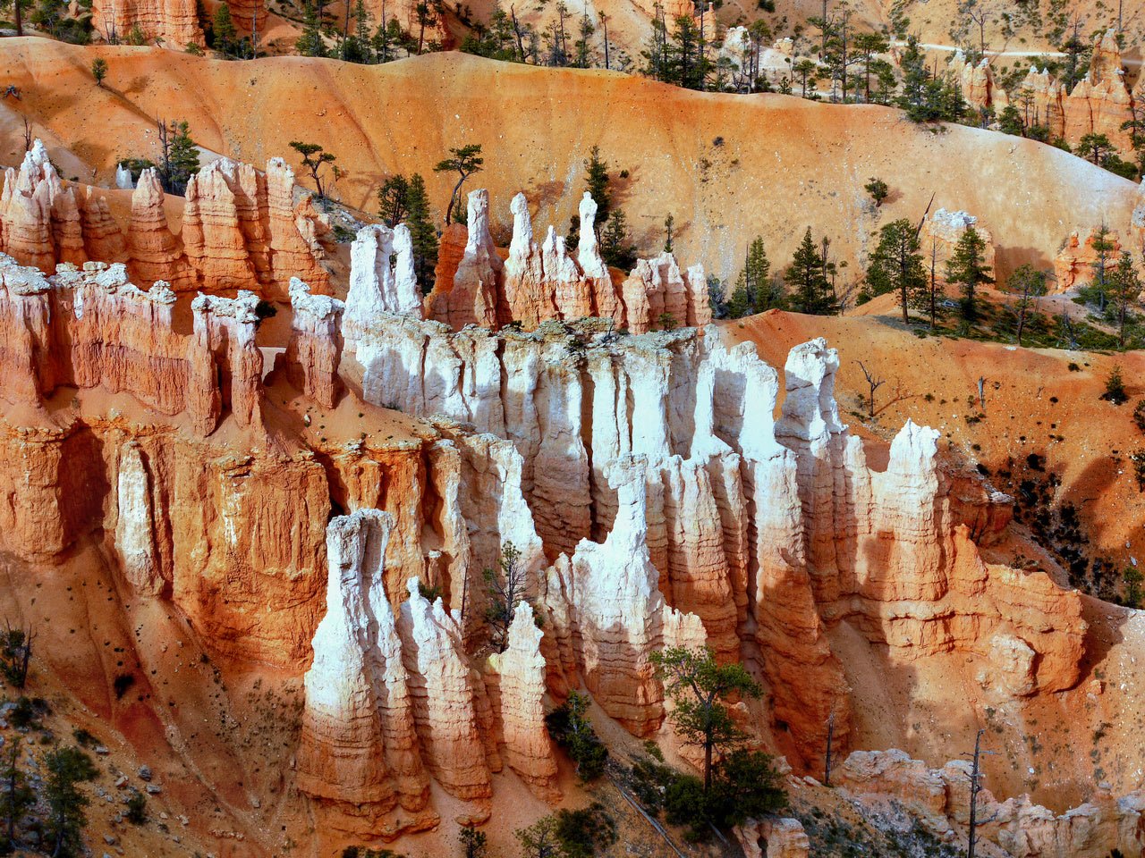 Wallpaper - Bryce Canyon National Park in Utah - USA - Easy Peel & Stick - Green Forest Home