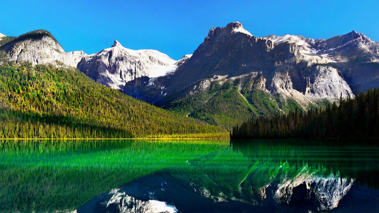 Wallpaper - Mountains and Emerald Lake in the Canadian Rockies - Easy Peel & Stick - Green Forest Home