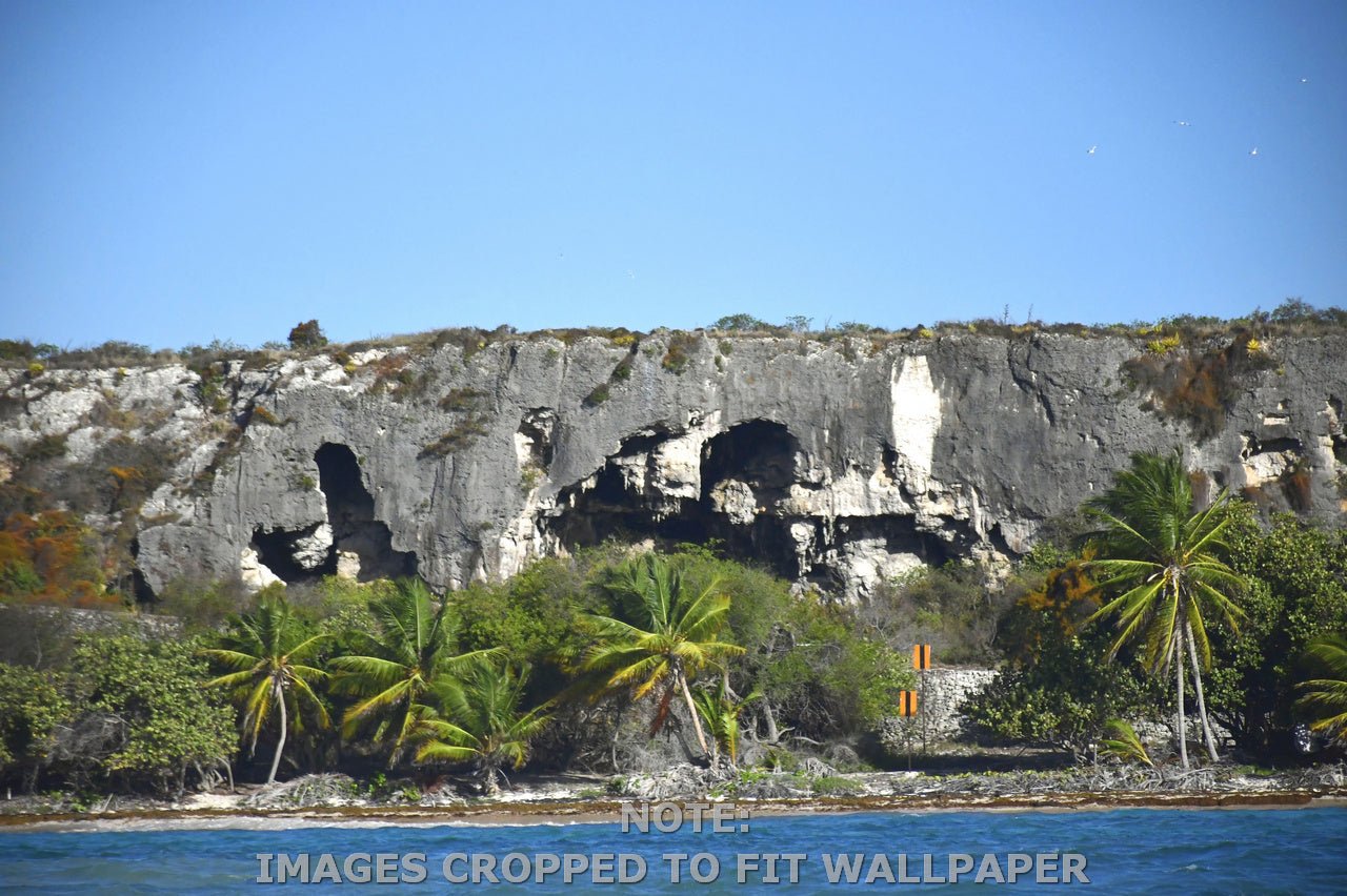 Wallpaper - Remote Mona Island - Coconut Palms and Caves from the Boat - Puerto Rico - Easy Peel & Stick - Green Forest Home