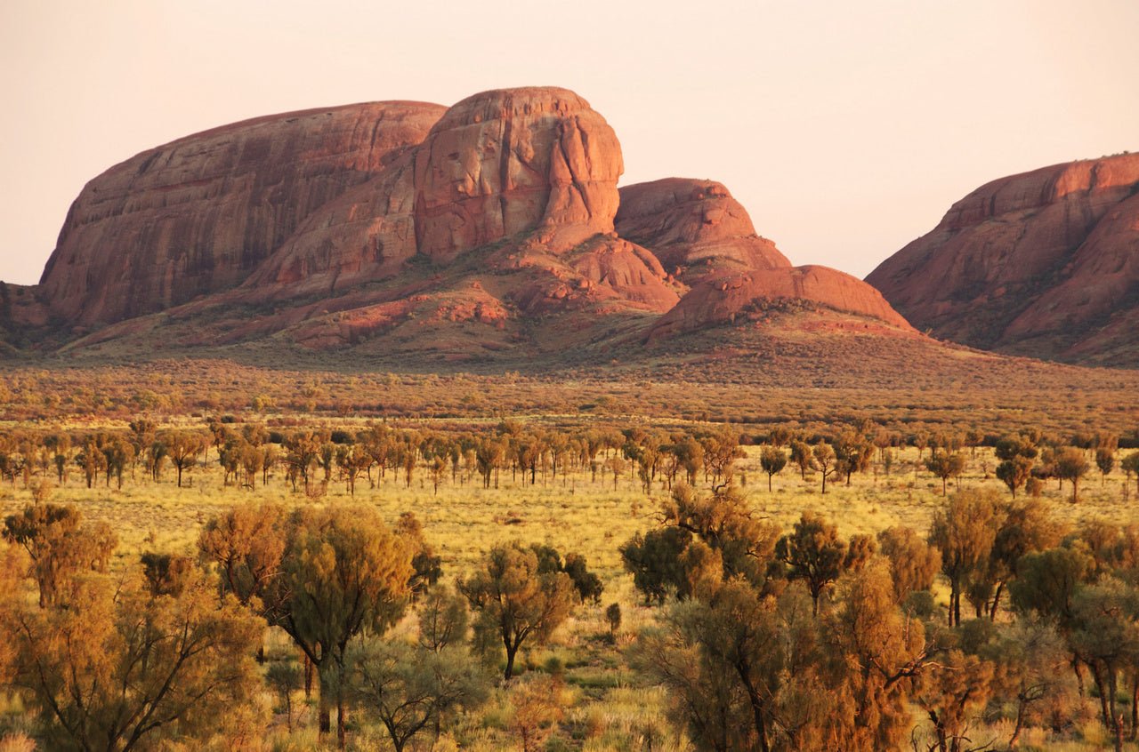 Wallpaper - Sunrise over the domes of Kata Tjuta - Australia - Easy Peel & Stick - Green Forest Home