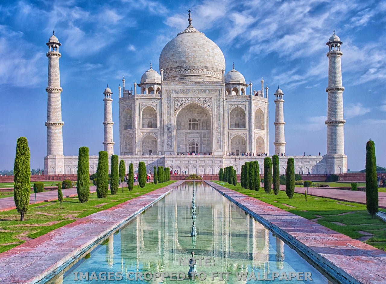 Wallpaper - Taj Mahal at morning light in Agra - India - Easy Peel & Stick - Green Forest Home