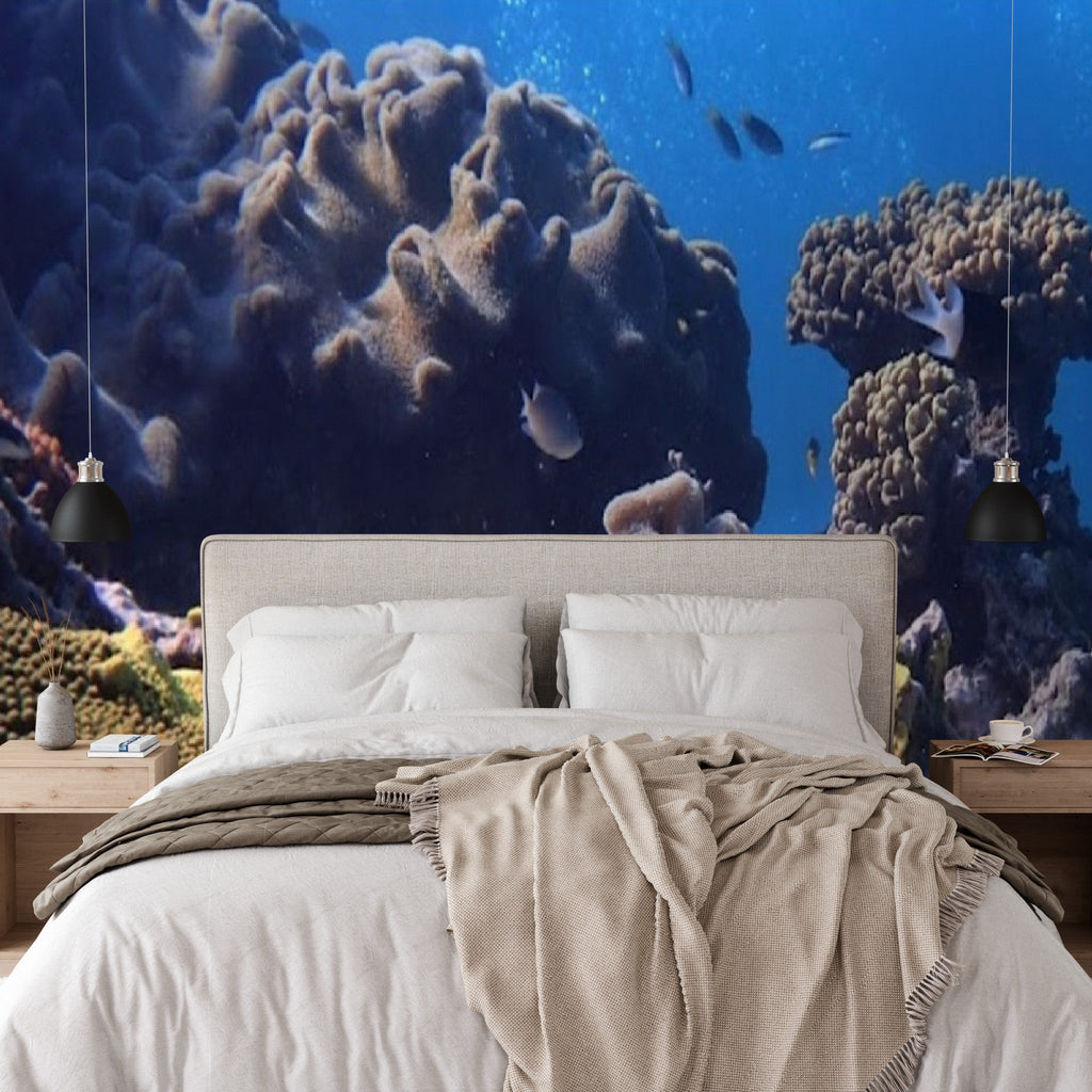 Wallpaper - The Rich Ocean Life in Australia - Easy Peel & Stick - Green Forest Home