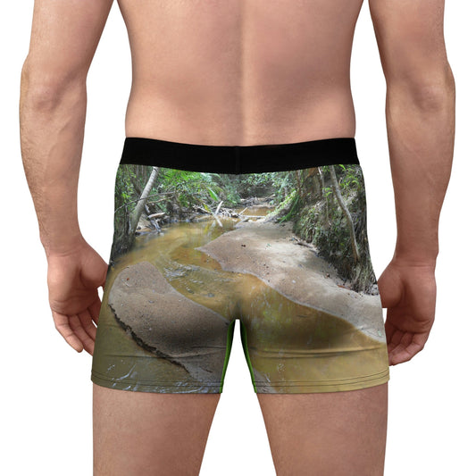 Wild - Men's Boxer Briefs - Yunque rain forest rivers explorations - Holy Spirit River - Green Forest Home